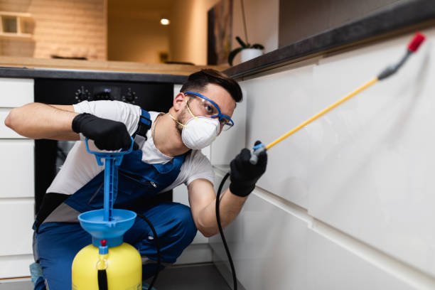 Best Pest Control Cost  in Stickney, IL