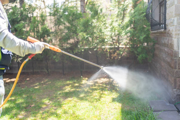 Best Exterminator Services  in Stickney, IL