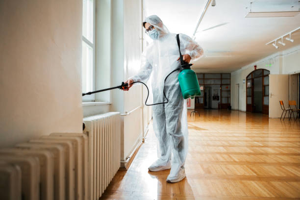 Best Termite Control Services  in Stickney, IL