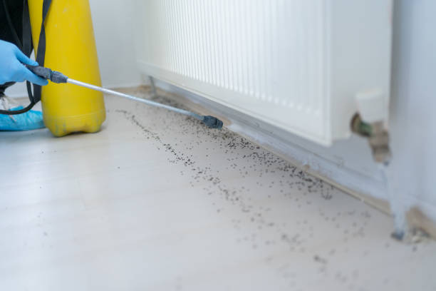 Pest Control Cost in Stickney, IL