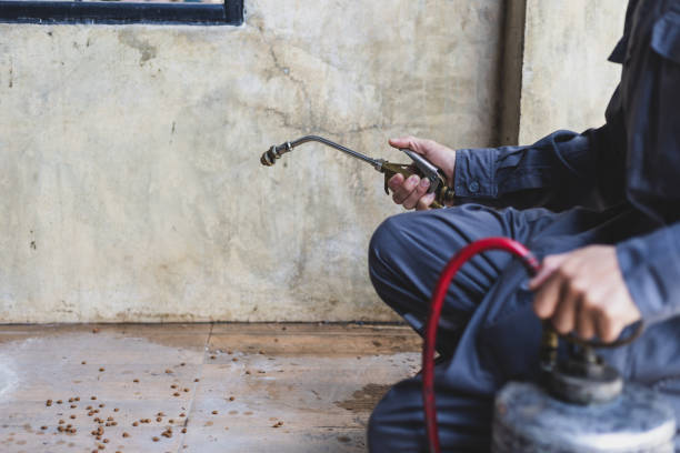 Best Pest Control Cost  in Stickney, IL